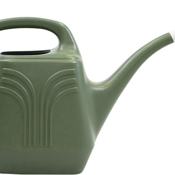 Promo Watering Can: 2 Gallon Capacity -  Durable Resin, Removable Nozzle Spout, Two Handles, Wide Mouth, for Indoor and Outdoor Use, Gardening
